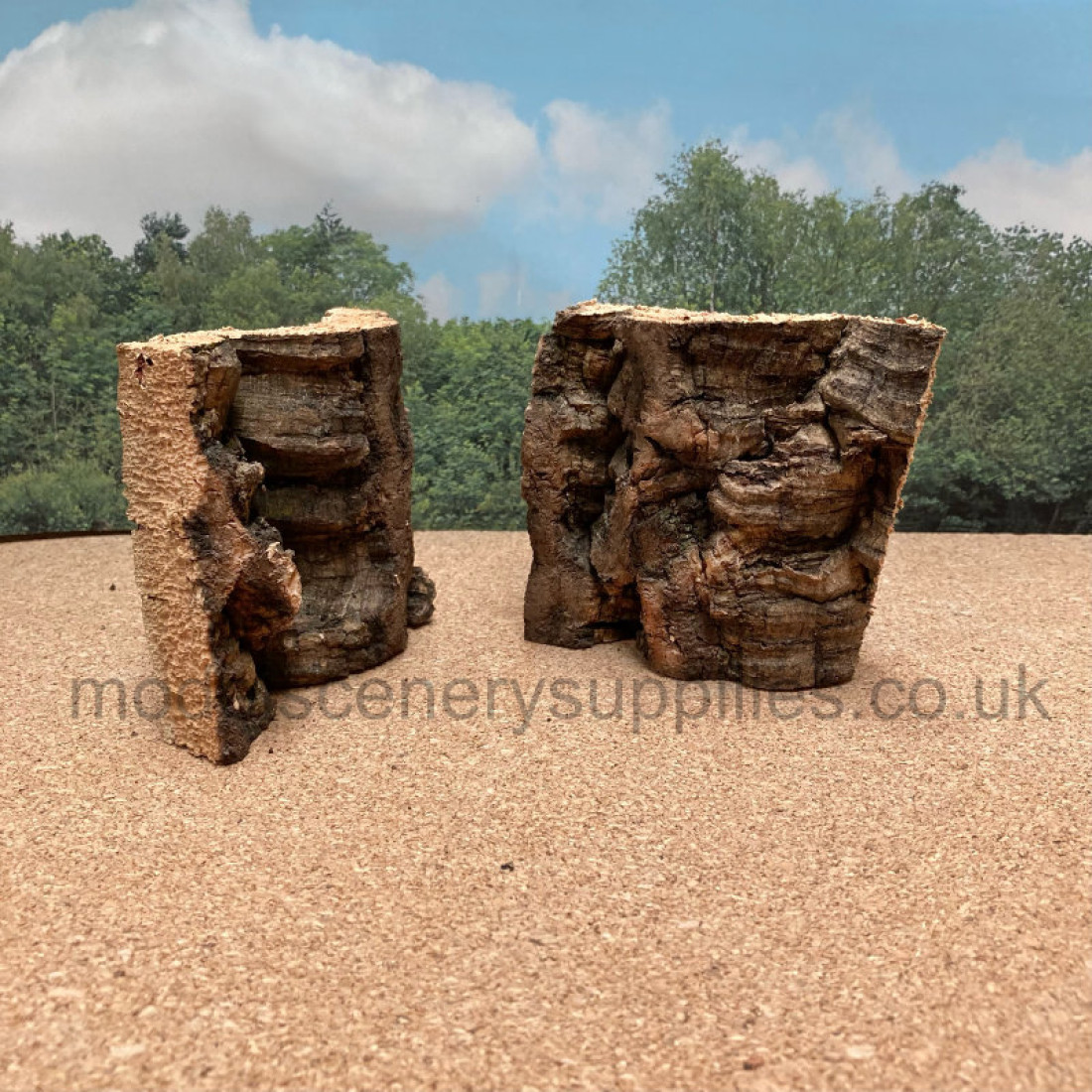 Thin Cork Bark Rock Face which has been prepared ready to use in model